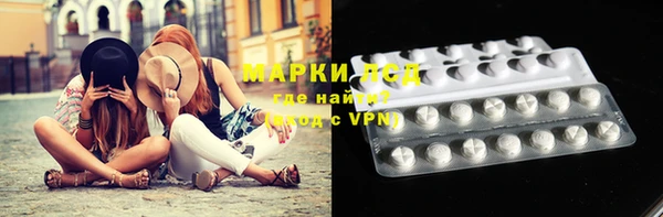 мяу мяу мука Аркадак