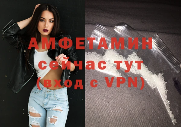 мяу мяу мука Аркадак