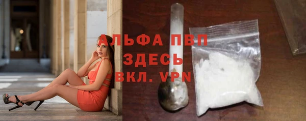 мяу мяу мука Аркадак