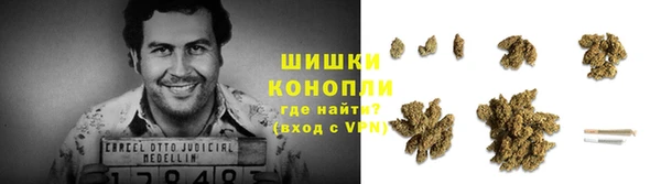PSILOCYBIN Арсеньев