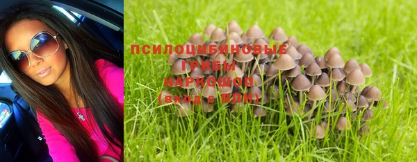 стаф Баксан
