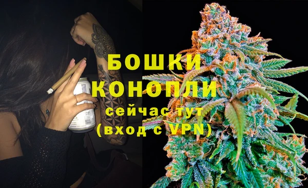 PSILOCYBIN Арсеньев