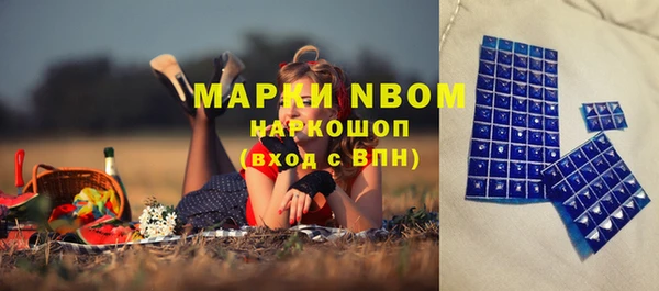 мяу мяу мука Аркадак