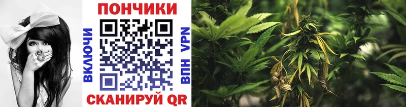 сайты даркнета состав  Котовск  Каннабис OG Kush 